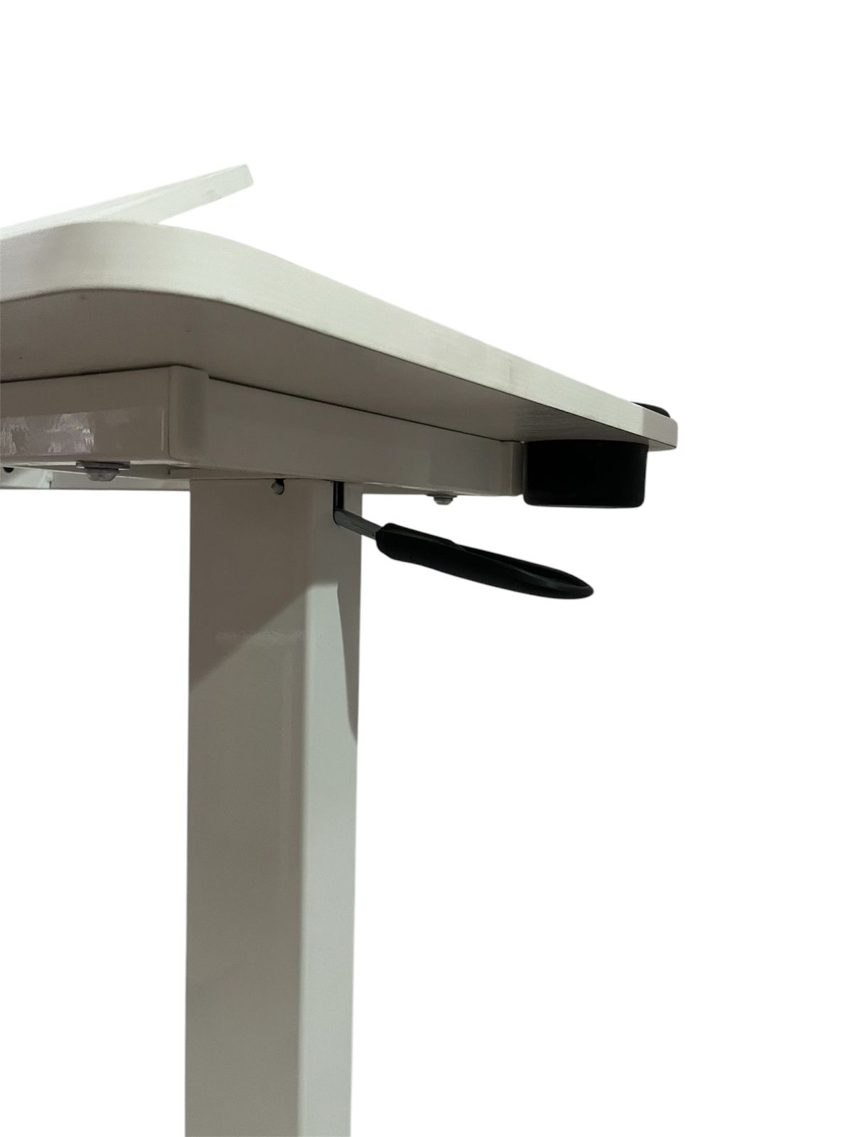 WhatsApp Image 2025-02-04 at 9.18.09 AM (1)